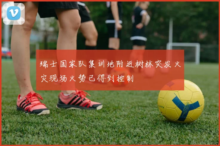 瑞士国家队集训地附近树林突发火灾现场火势已得到控制